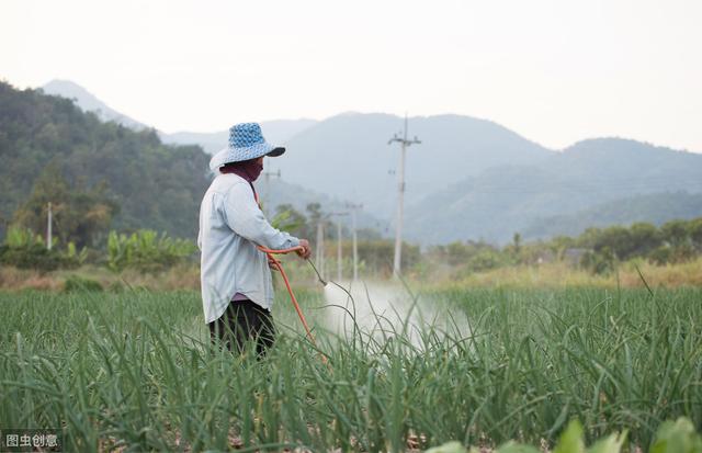 农药浸种灭菌四注意！农户需知晓！2