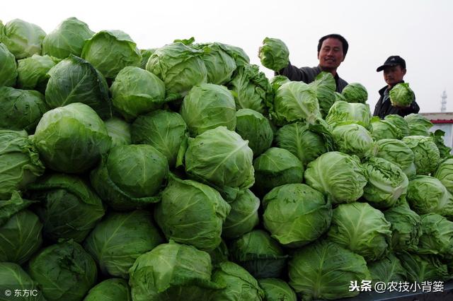 植物生长调节剂的数十种高效复配方法，你都会用？都用对了吗？10