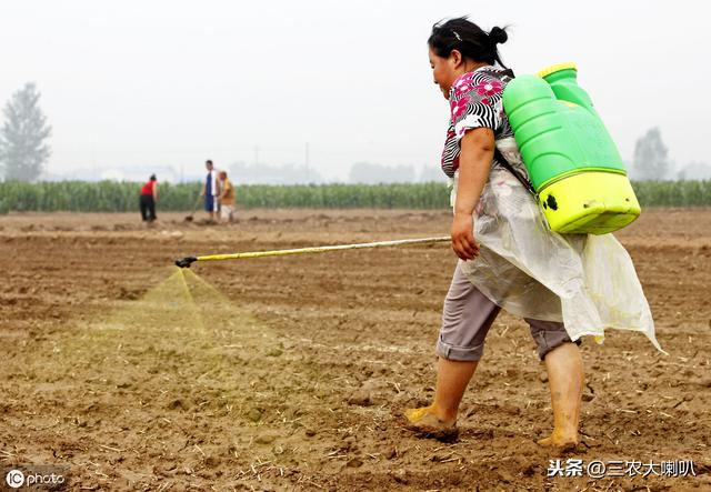 农民打农药，最害怕有雨！其实有些农药，下了雨照样有效2