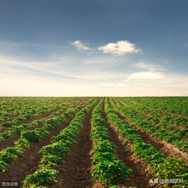 这个被称为通用型”除草剂，能在100多种作物上使用，高效又安全2