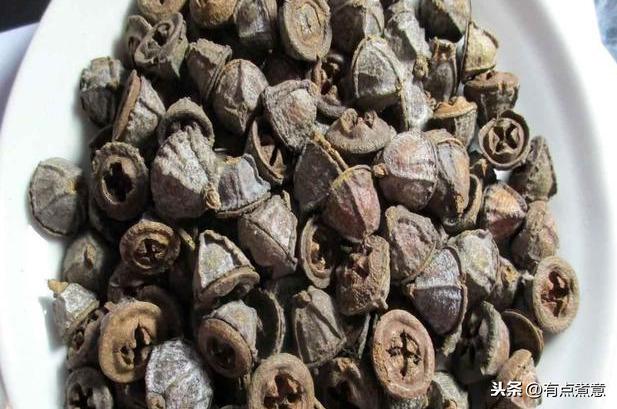 十种顶级香辛料（认识这13种香辛料的人）(13)