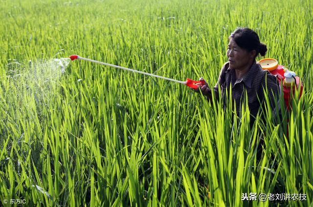 农药植保：菜农常用的23种农药，务必要搞清楚，避免产生要害！1