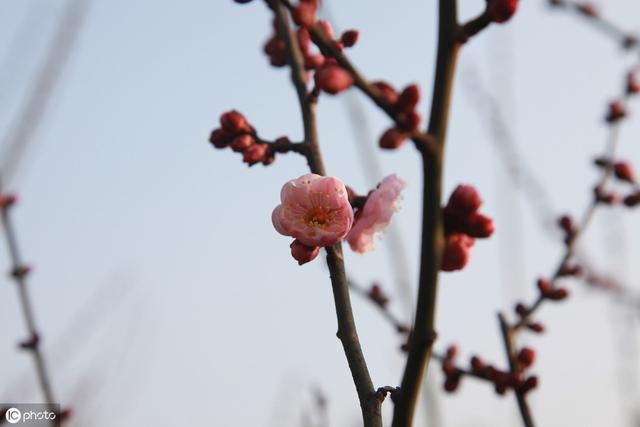 星月神话歌词什么意思