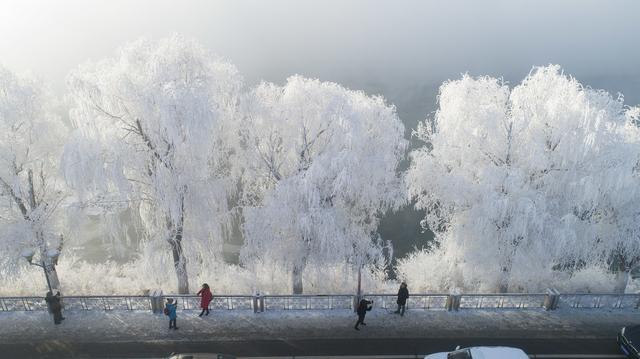 细节描写片段