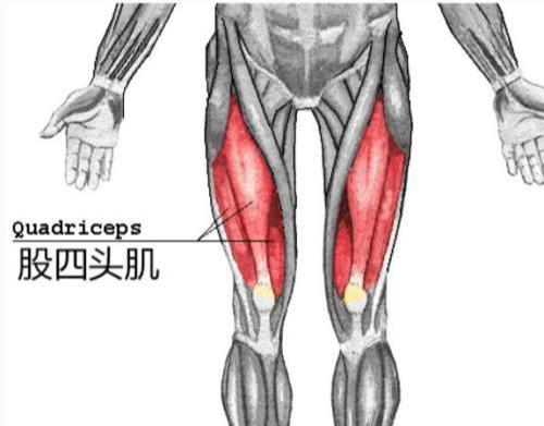 关节僵硬怎么办