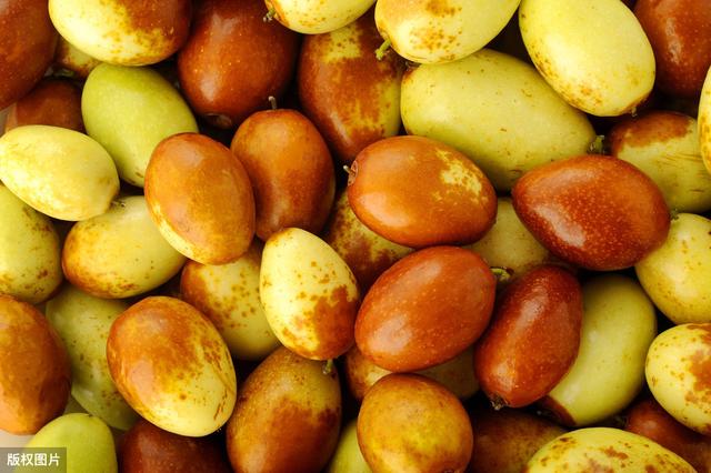枣树在种植中经常遇见的病害类型，以及防治措施