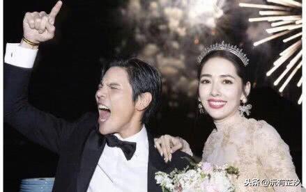 向佐弟弟:同父同母不同命的兄弟俩！哥哥向佐成当红明星，弟弟向佑被抓入狱