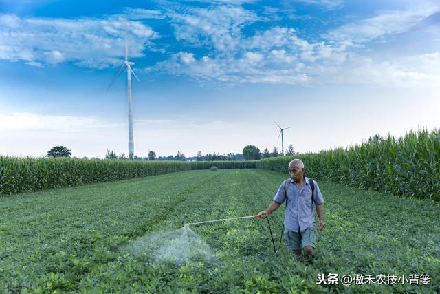 芸苔素内酯虽然好，但更要知道它好在哪、怎么选、怎么用才更好11