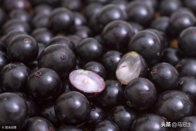 酷似葡萄的嘉宝果有什么营养？