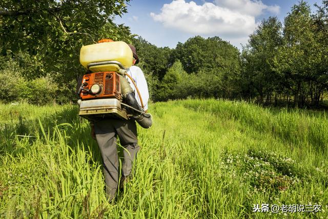 哪些果园内不能用草甘·三氯吡除草？我知道的有7种，您知道几种4