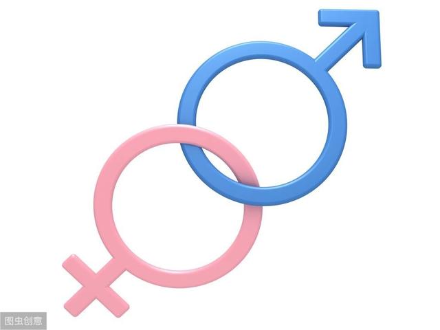 婚姻法的内容