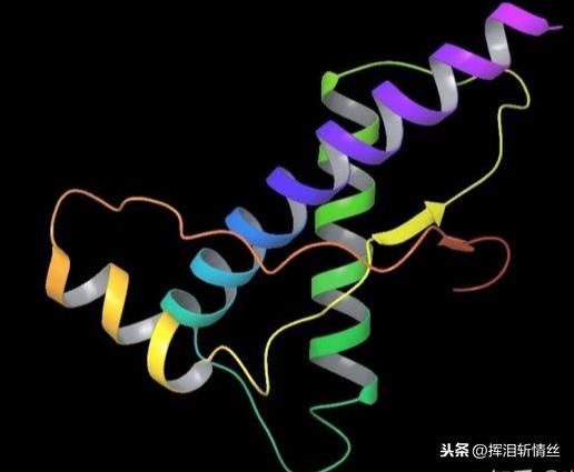 细螺旋病毒