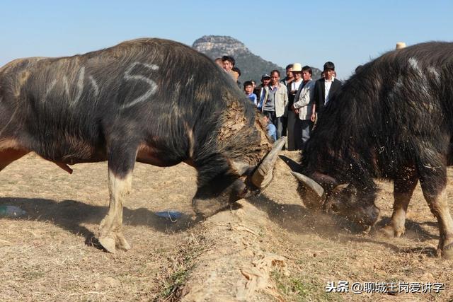 怼是什么意思