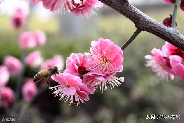 四字成语春回什么意思