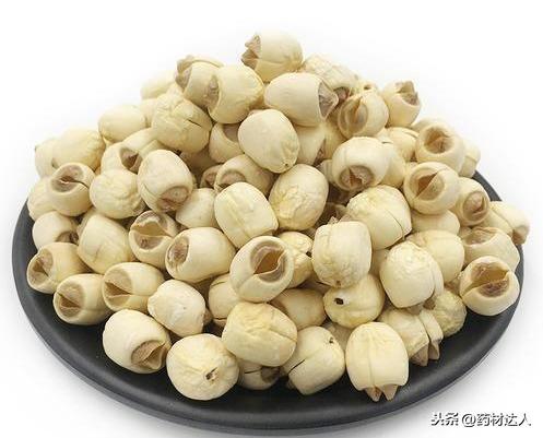 莲子产地 莲子产地（白莲子产地） 生活