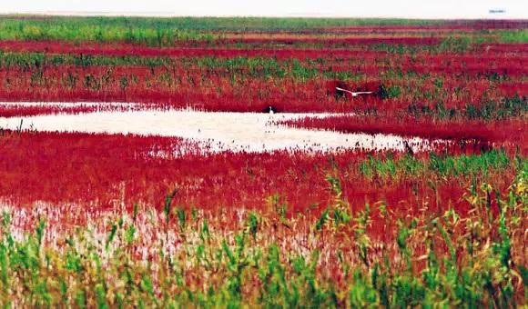山东旅游攻略大全（九州风物志山东16城50个景点）(50)