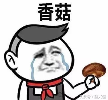 除了绿色菜汪还有什么表情包,你的表情包不够用了