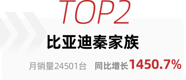 第一不是比亚迪，特斯拉Model 3未进前五，2月新能源轿车销量盘点