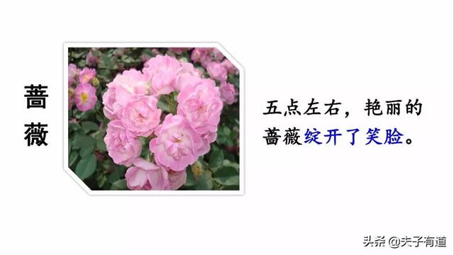 芳组词