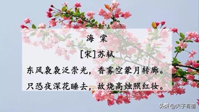 芳组词