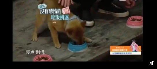 影片剧照