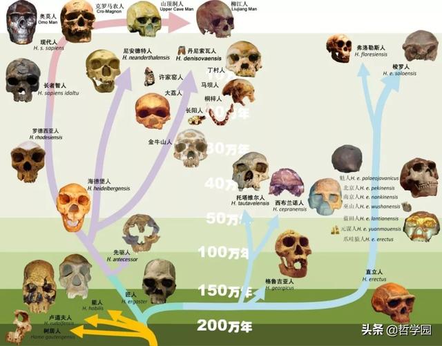 拉萨卧式过滤机