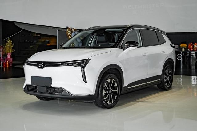 一公里才7分钱，7.9破百+3块大屏，还能自动驾驶，实拍威马W6