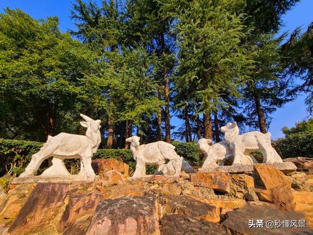 扬州有什么好玩的地方适合小孩玩(扬州郊外哪里最好玩的地方)