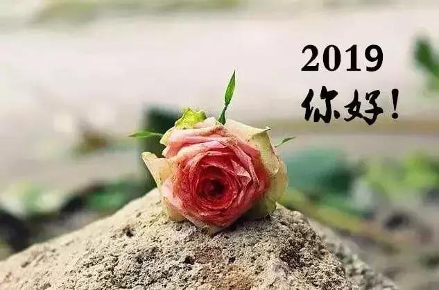 2019新的一年早安正能量心语图片：一定要活出更加漂亮的自己