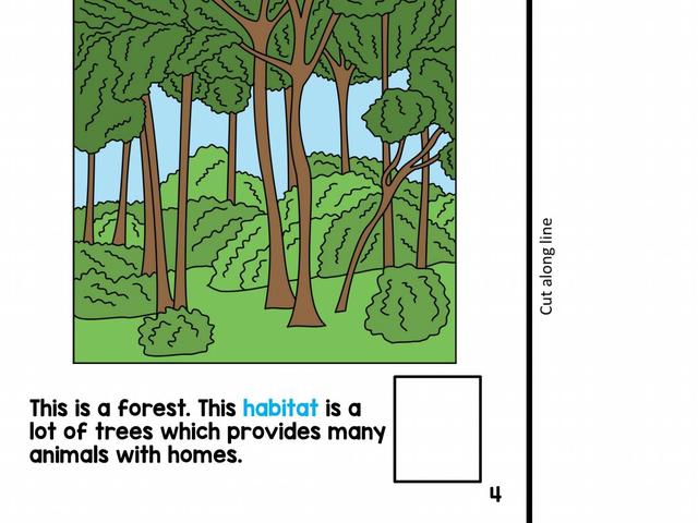 动物栖息地安静书全套