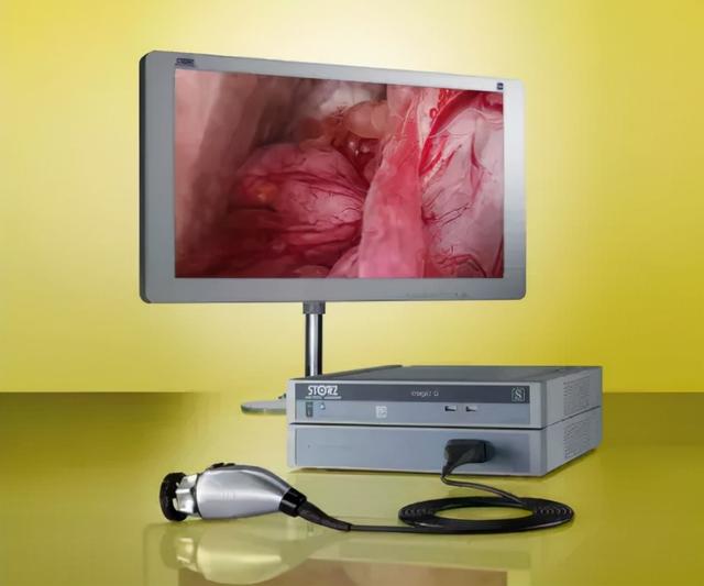 剧透！第四届进博会有哪些影像“黑科技”？