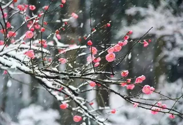 晚安句子190108：愿你不只会安慰别人，愿你多懂心疼自己