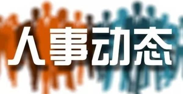2017德国木工机械展