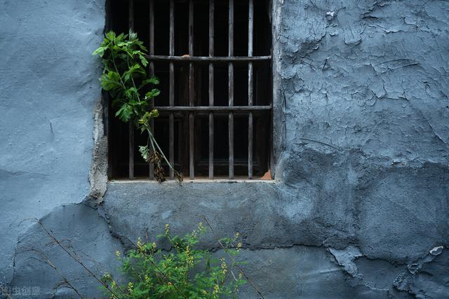 一楼潮湿怎么办