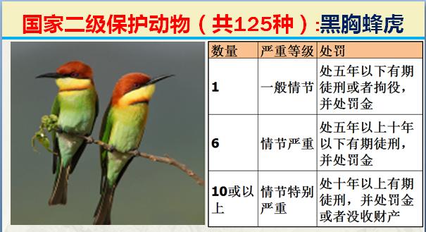 国家二级保护动物