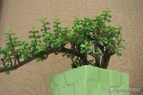 青州河沙洗砂机的简单介绍