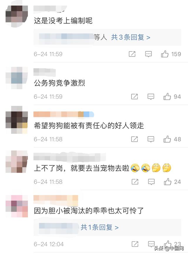 中国德牧网