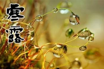 今日寒露，农村老人说，今年寒露“无禄”犯“红沙”，什么意思？