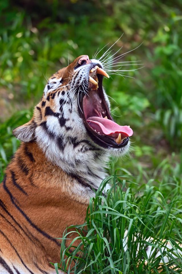 殊死搏斗的意思(殊死搏斗的意思解释) - 天星聚