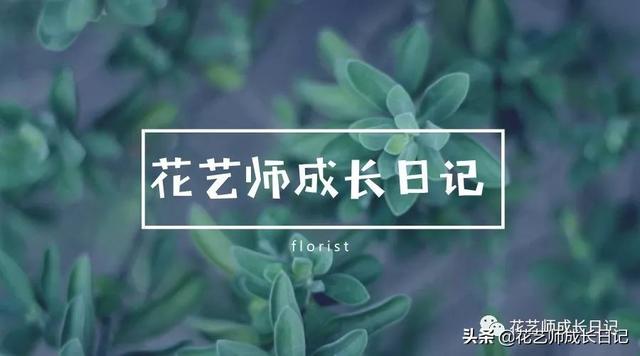 19朵红玫瑰代表什么 19朵红玫瑰代表什么（送19朵红玫瑰代表什么） 生活
