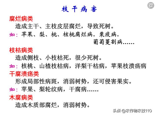 果树萌芽期至盛果期的病虫害发生与防治！看了不后悔