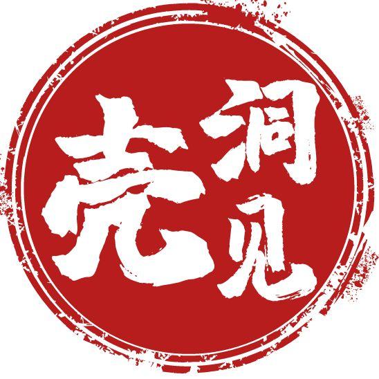 壳洞见