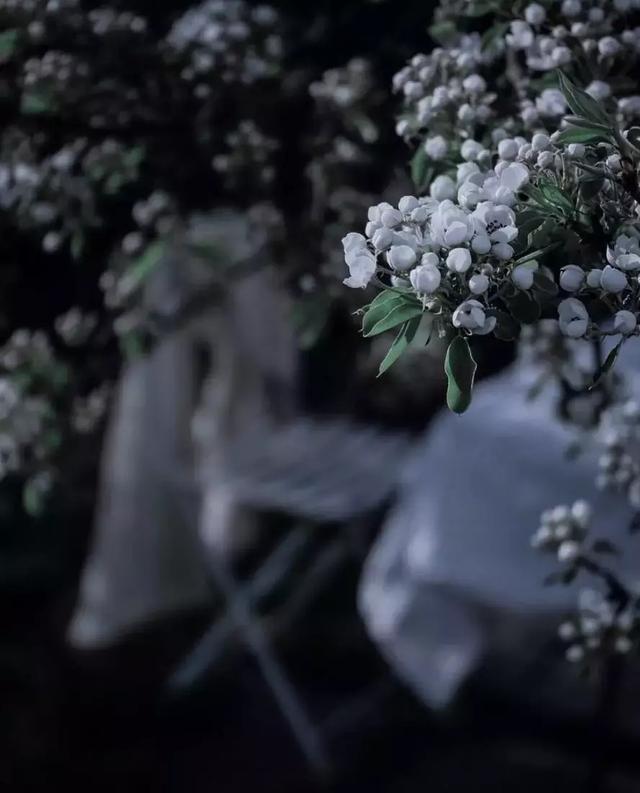 晚安好句181114：愿你一生欢喜，不为世俗所及