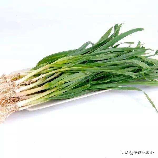 告訴家人 2種蔬菜發芽後不僅沒毒 營養價值還翻倍 丟掉可惜 Kks資訊網