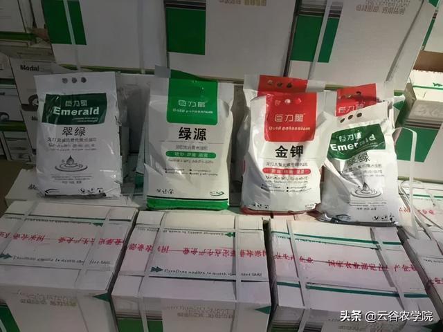 化肥、农药对我国的危害到底有多大，肥药双减，到底怎么减？2