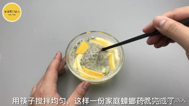 灭蟑螂最有效的方法 灭蟑螂最有效的方法（怎么灭蟑螂最有效的方法） 动物