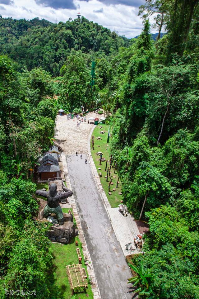 西雙版納熱帶雨林,雲南西雙版納熱帶雨林旅遊攻略(美麗的熱帶雨林)