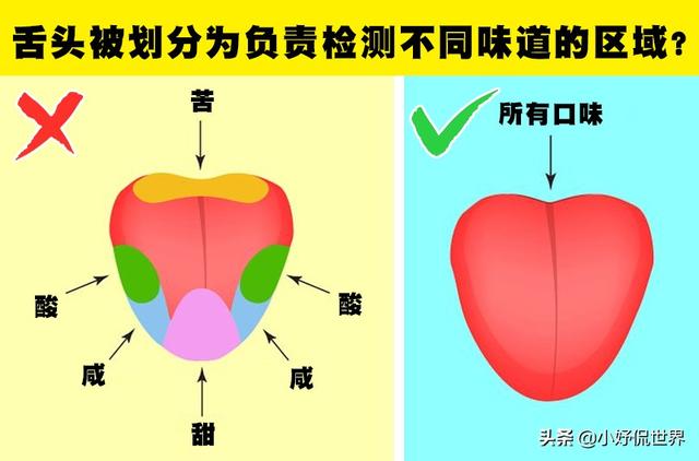 冷知识揭穿：生活中，人们长期相信着的7个错误的科学知识