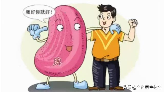 中医讲：肺为生气之主，脾为生气之源，肾为生气之根，如何理解？