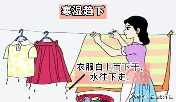 大白话说中医第83期｜失眠久了伤身体，健脾养胃补心气